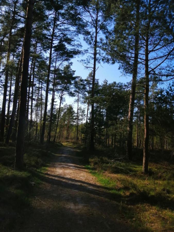 Domek Na Lesnej Pogorzelica (Gmina Rewal) Exterior foto